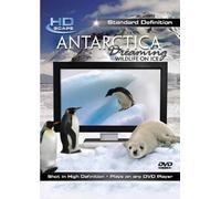 Antarctica Dreaming: Wildlife on Ice