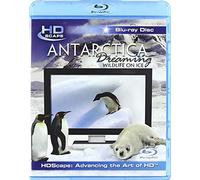 Antarctica Dreaming - Wildlife On Ice [Blu-ray] [Import anglais]