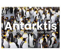 Antarctique - Le plus grand désert de glace du monde., Version française (Calendrier mural 2026 DIN A3 portrait), Calendrier CALVENDO mensuel