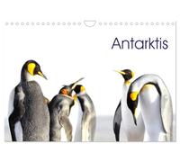 Antarctique - viaje.ch, Version française (Calendrier mural 2026 DIN A4 portrait), Calendrier CALVENDO mensuel