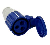 ANTARION Fiche femelle P17 (C/50)