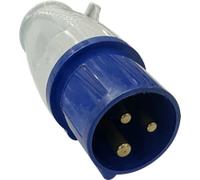 ANTARION Fiche mâle P17 (C/50)