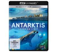 Antarktis - Leben am Limit (4K Ultra-HD) (4K UHD Blu-ray) Bouvier Jérôme