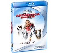 Antartica, prisonniers du froid - Edition Blu-Ray E