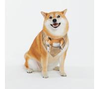 Antelope On The Grassland Bandana lavable pour chien de petite et grande taille pour fille ou garçon, accessoires pour animaux de compagnie