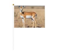 Antelope on the Grassland Petits drapeaux sur bâtons - Durable 14 x 21 cm Mini drapeaux pour cour, jardin et décoration extérieure, lot de 6 et 12