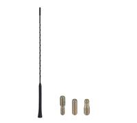 Antenne Automobile Antenne Fouet Universelle de Toit de Voiture 9/11/16 Pouces avec Signal FM/AM amplifié Antenne Radio Voiture(16 inch)