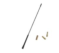 Antenne Automobile Antenne Voiture Antenne amplifiée FM/AM Compatible avec Opel Astra JHG Zafira Mokka et Peugeot 206 307 406 407 207 208 308(16 inch)
