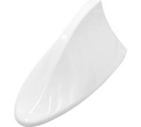 Antenne de Signal de Radio AM FM de Forme Universelle d'aileron de Requin Blanc
