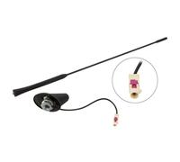 Antenne De Toit Am-Fm Inclination 45 Degres Passive