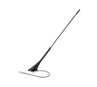 Antenne de toit AM FM inclinaison 56 DIN-m- passive