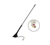 Antenne de toit AM/FM inclinaison 60° alimentation fantôme 12V