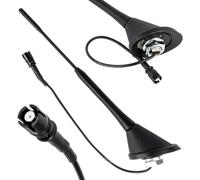ANTENNE DE VOITURE AMPLIFIEE 25,4CM RAKU-2 ANT10 AMIO