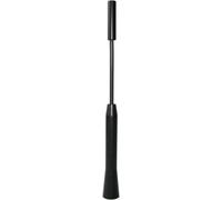 Antenne fouet Eufab 17564 aluminium noir