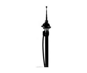 Antenne manuelle - CARPOINT - 4 sections - 12 V - Angle réglable - Rétractable 100 cm