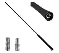 AMiO Antenne radio 01129
