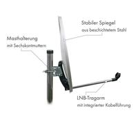 Antenne parabolique - SCHWAIGER - 128 - 55 x 62 cm - Acier - Gris Clair