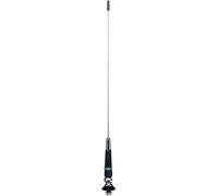 Antenne President CAROLINA 60042