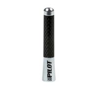 Antenne Stelo Antennina 8 Cm Carbone Pour Auto Réception Signal Radio Aluminium