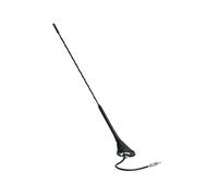 Antenne universelle 16V AM / FM