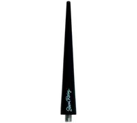 Simoni Racing ASR/04N Antenne