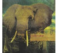 Anterrabae - Heart Beat in Our Fingertips Without Reason