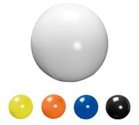 ANTEVIA Matériaux ANTEVIA - Ballon de plage gonflable ø40cm | PLUS DE 10 MODÈLES | Volley Jeux Enfant Piscine | Matière: PVC |Couleur : blanc (Magno blanc)