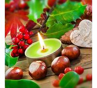 ANTEVIA Matériaux - Lot de 15 Bougies Chauffe Plat parfumées au Sapin, Plus DE 10 MODÈLES, Couleurs : Vert et Gris (Virtua Sapin)