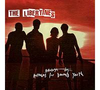 Anthems For Doomed Youth – Vinyle