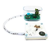 Anthillshop. es Fourmilières éducatives 3D 7 x 7 couleur blanche avec boîte de fourrage (fourmis incluses)