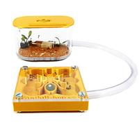 ANTHILLSHOP Fourmilières 3D 7 x 7, design fourmi éducatif, couleur or avec boîte de fourmis (fourmis incluses).