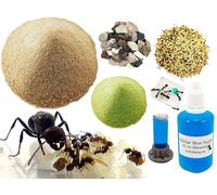 Anthillshop Kit de remplacement complet pour 1 kg de marais de sable, Nectar Bluer Sugar 50 ml, Cologne 20-30 fourmis, pierres décoratives et graines, alimentation complète incluse