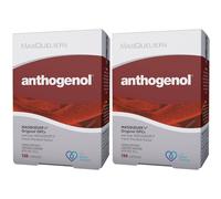 Anthogenol® MASQUELIER's® Original OPCs Capsule(S) 2x120 pc(s)