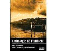 Anthologie De L'ambient - D'erik Satie À Moby : Nappes, Aéroports Et Paysages Sonores