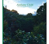 Anthony Child - Electronic Recordings from Maui Jungle Vol. 1