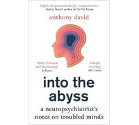 Anthony David Into the Abyss (Poche)