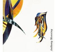 Anthony Manning - Islets in Pink Polypropylene [Import]