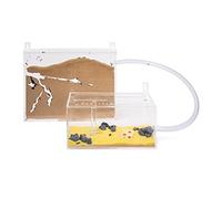 AntHouse - Ferme de Fourmis de Sable Naturel - Grand Ensemble de Mur en Acrylique (Fourmis gratuites)