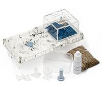 AntHouse - Fourmilière Acrylique | Kit Educatif Champignon 10x20x1,3 cm | Fourmis Incluses