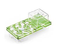 AntHouse | Fourmilière Acrylique - Kit éducatif Champignon 10x20x1,3 cm | Vert | Fourmis gratuites