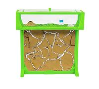 AntHouse - Fourmiliére de Sable | Kit T Big 3D 25x20x1,5 cm | Ferme de Fourmis Vert | Colonie de Fourmis Incluse