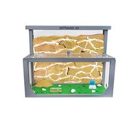 AntHouse - Fourmilière de Sable Naturel 3D | Modèle L (Sandwich + boîte Alimentaire) Gris | Y Compris la colonie de Fourmis