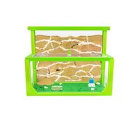 AntHouse - Fourmilière de Sable Naturel 3D | Modèle L (Sandwich + Food Box) Vert | Y Compris la colonie de Fourmis