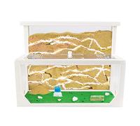 AntHouse - Fourmilière Naturelle en Sable 3D | Kit L (Sandwich + Caisse de Fourrage) Blanc | Fourmis Incluses