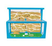 AntHouse - Fourmilière Naturelle en Sable 3D | Kit L (Sandwich + Caisse de Fourrage) | Ferme de Fourmis Bleu | Colonie de Fourmis Incluse