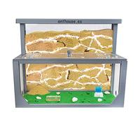 AntHouse - Fourmilière Naturelle en Sable 3D | Kit L (Sandwich + Caisse de Fourrage) Gris | Fourmis Incluses