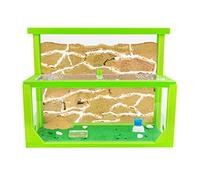 AntHouse - Fourmilière Naturelle en Sable 3D | Kit L (Sandwich + Caisse de Fourrage) Vert | Fourmis Incluses