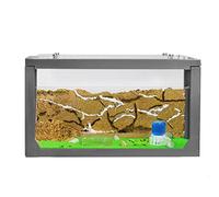 AntHouse - Fourmilière Naturelle en Sable | Kit Commencement 3D Gris 20x10x10 cm | Fourmis Incluses