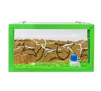 AntHouse - Fourmilière Naturelle en Sable | Kit Commencement 3D Vert 20x10x10 cm | Fourmis Incluses