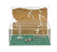 AntHouse - Fourmilière Naturelle en Sable | Kit L (Sandwich + Caisse de Fourrage) | Fourmis Incluses